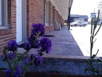 Blue Coast Inn & Suites 3*
