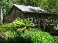 Allenvale 4*