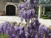 La Casina Dei Nonni Edag Azienda Agrituristica 