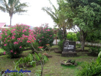 Manutara