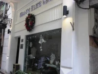Hanoi Elite 