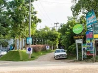Mataree Gully Coco 3*