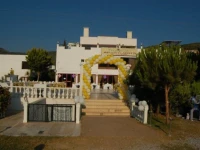 The Palm Club 