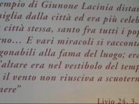 Casa Di Rosa 