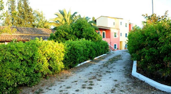 Joana Apartments 