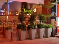 P2 Lounge 2*