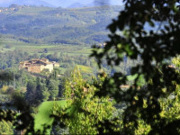 Castello di Monteliscai