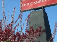 Red Carpet Inn Brooklawn 2*