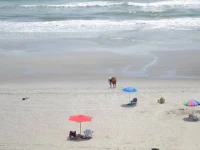 Maritime Beach Club 3*