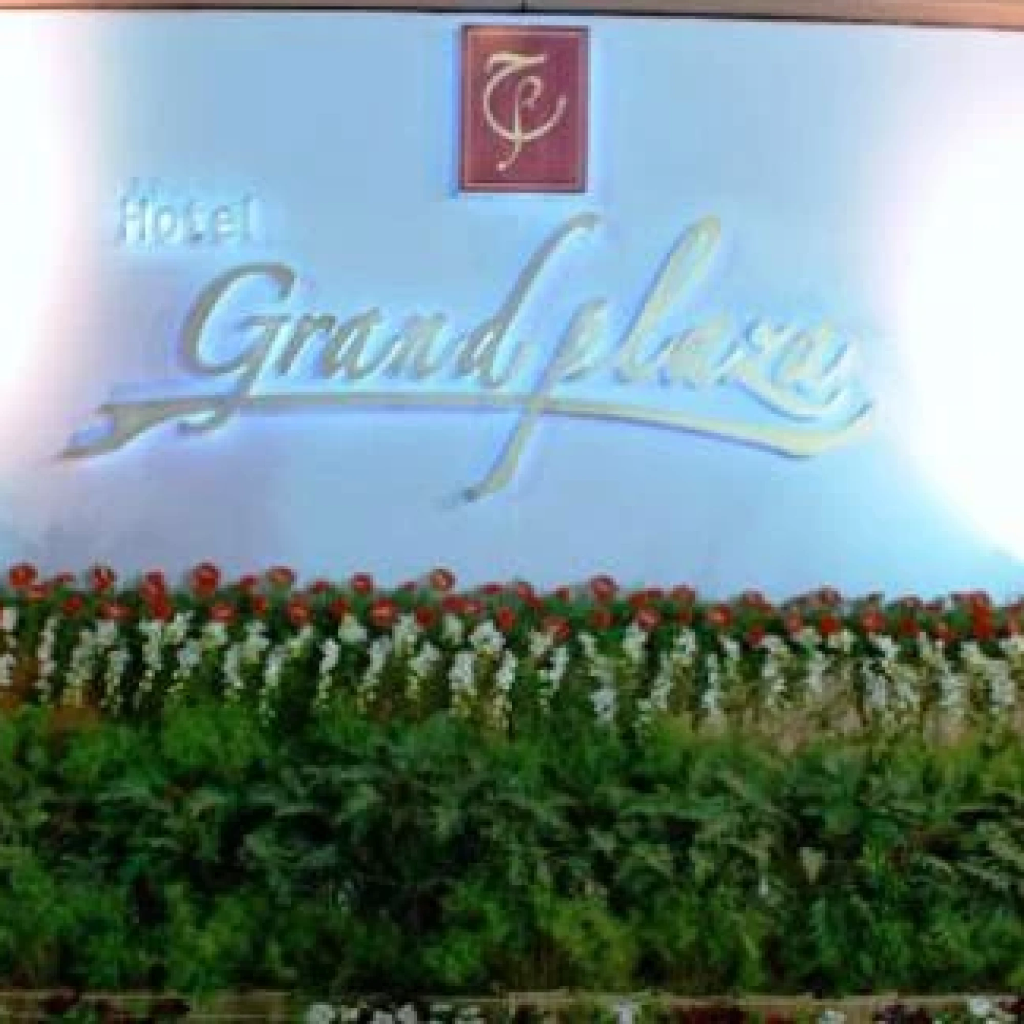 The Hotel Grand Plaza 3*