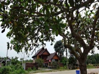 Baan Tu 3*