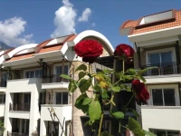 Sultan Homes Apt - 519 Sk 
