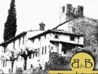 La Pieve di SantAndrea 