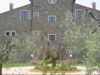 Tenuta La Tabaccaia 