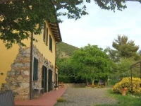 Il Gelso 