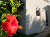 Meads Bay Beach Villas 3*
