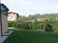 Ca Vettor 