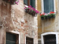 Viva Venezia 