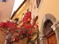 Bollo Apartments 