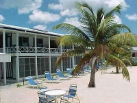 The Horny Toad Guesthouse 3*