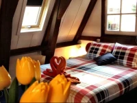 Tulip Of Amsterdam B&B 