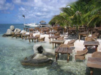 Coral Reef Beach