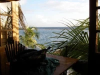 Coral Reef Beach 