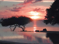 Ocean Villa
