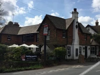 The Best Beech Inn 1*