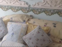 Toad Hall Manor Bed and Breakfast 3*