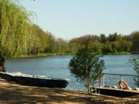 Forest Park  / Форест Парк  