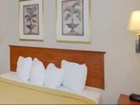 Quality Inn & Suites Hannibal 3*