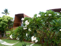 Aqua Hotel Molokai