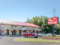 Econo Lodge Cadillac 1*