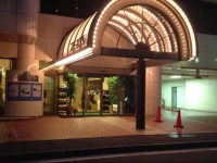 Star hotel Yokohama 4*