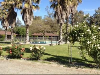 Blue Gum Motel 2*
