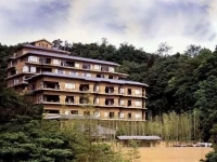 Arima Onsen Kinzan 