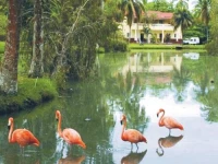 Villa Islazul San JosРµ del Lago 2*