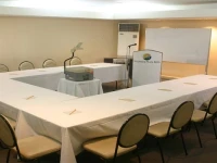 Millennium Plaza 3*