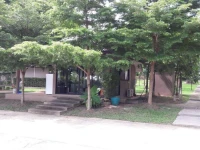 Koko Hut Resort 3*
