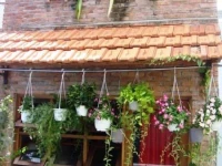 Nguyen Shack - Saigon Homestay 1*