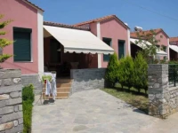 Kamelia 2*