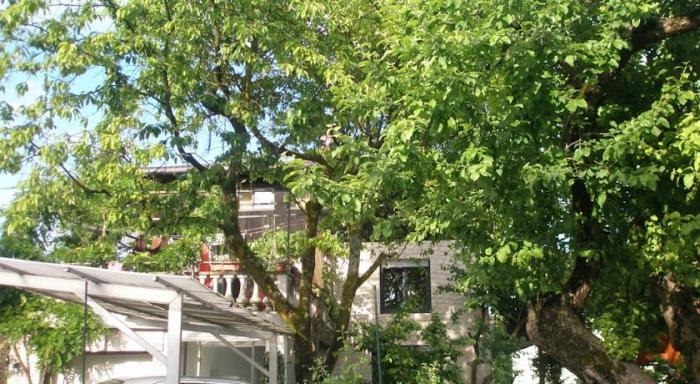 Guest House Martin 2*