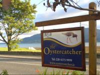 The Oystercatcher