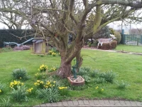 South Newlands Farm 3*