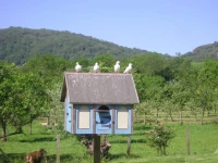 Myrtleberry Studio 4*