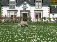 Colintraive Hotel 3*