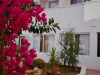 Apartamentos Sureda 