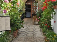 Los Patios 1*
