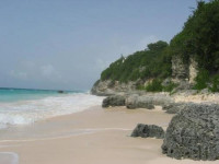 Horizons and Cottages